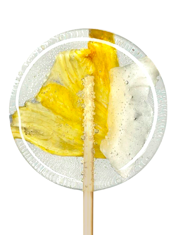 kokos-ananas1_1_96018c73-d11e-4bf2-9b2e-90d243d64600.png