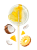 kokos-ananas3 (1).png
